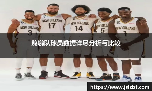 鹈鹕队球员数据详尽分析与比较